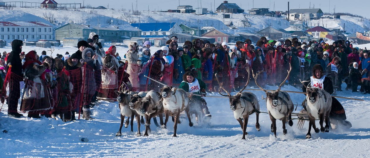 Deer-racing-in-Tazovsky-locality.jpg