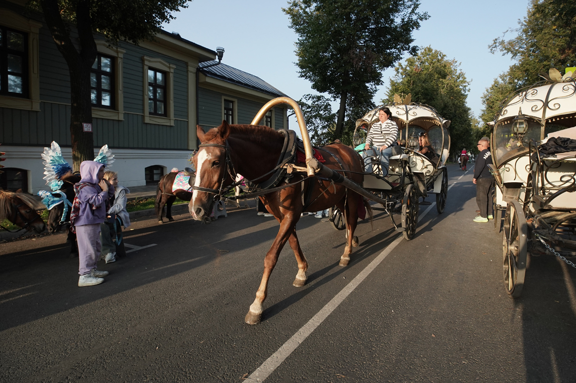 https://goroda.press/wp-content/uploads/2016/10/Suzdal-92.jpg